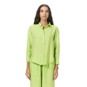 Light-green-long-sleeve-chemise_Chemise_1965_1.jpeg